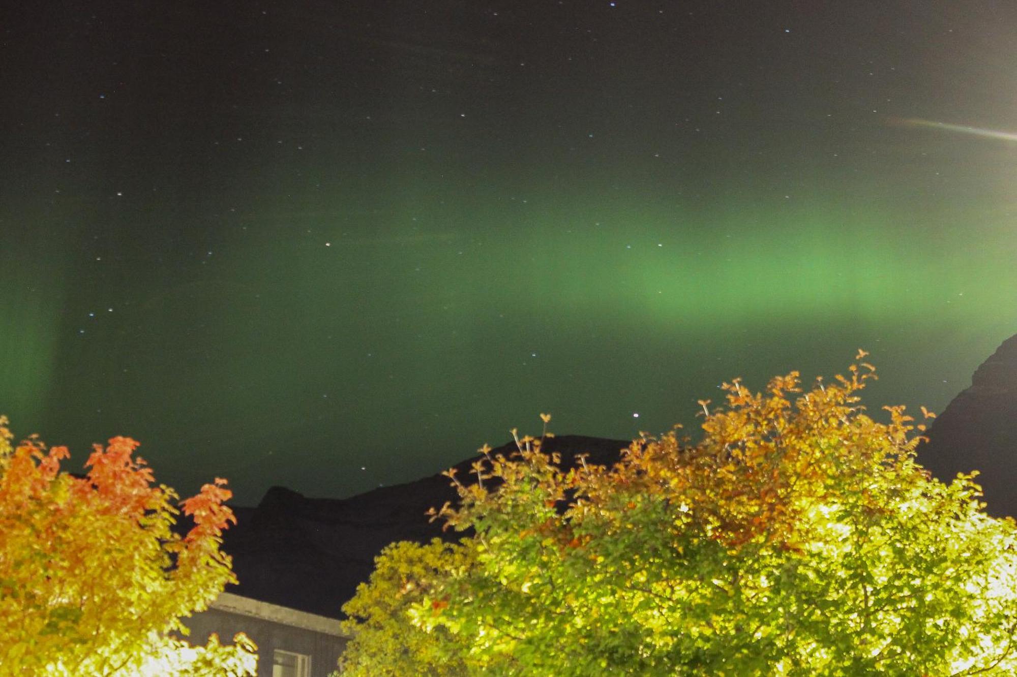 Hotel Austur Reydarfjordur Экстерьер фото